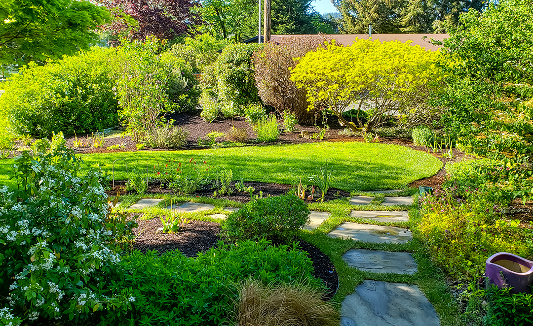 Landscaping-Yard-2