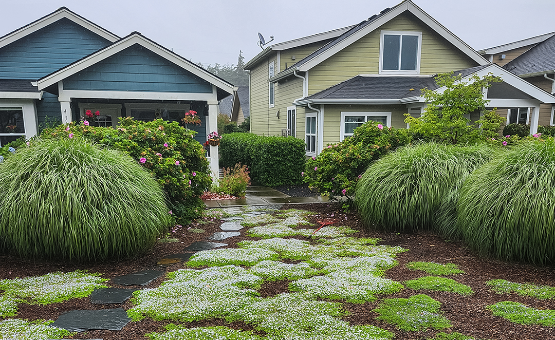 landscaping-design
