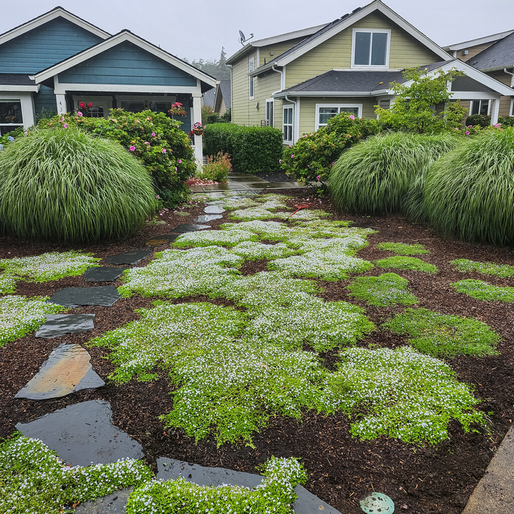 landscape design by central coast landscaping