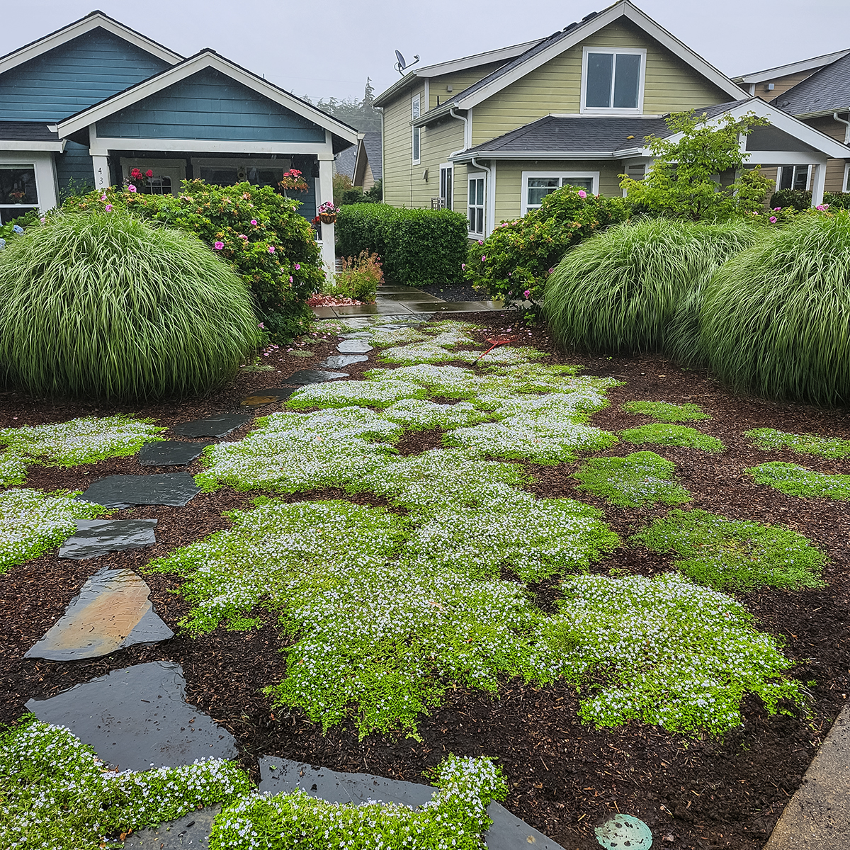 landscape design by central coast landscaping